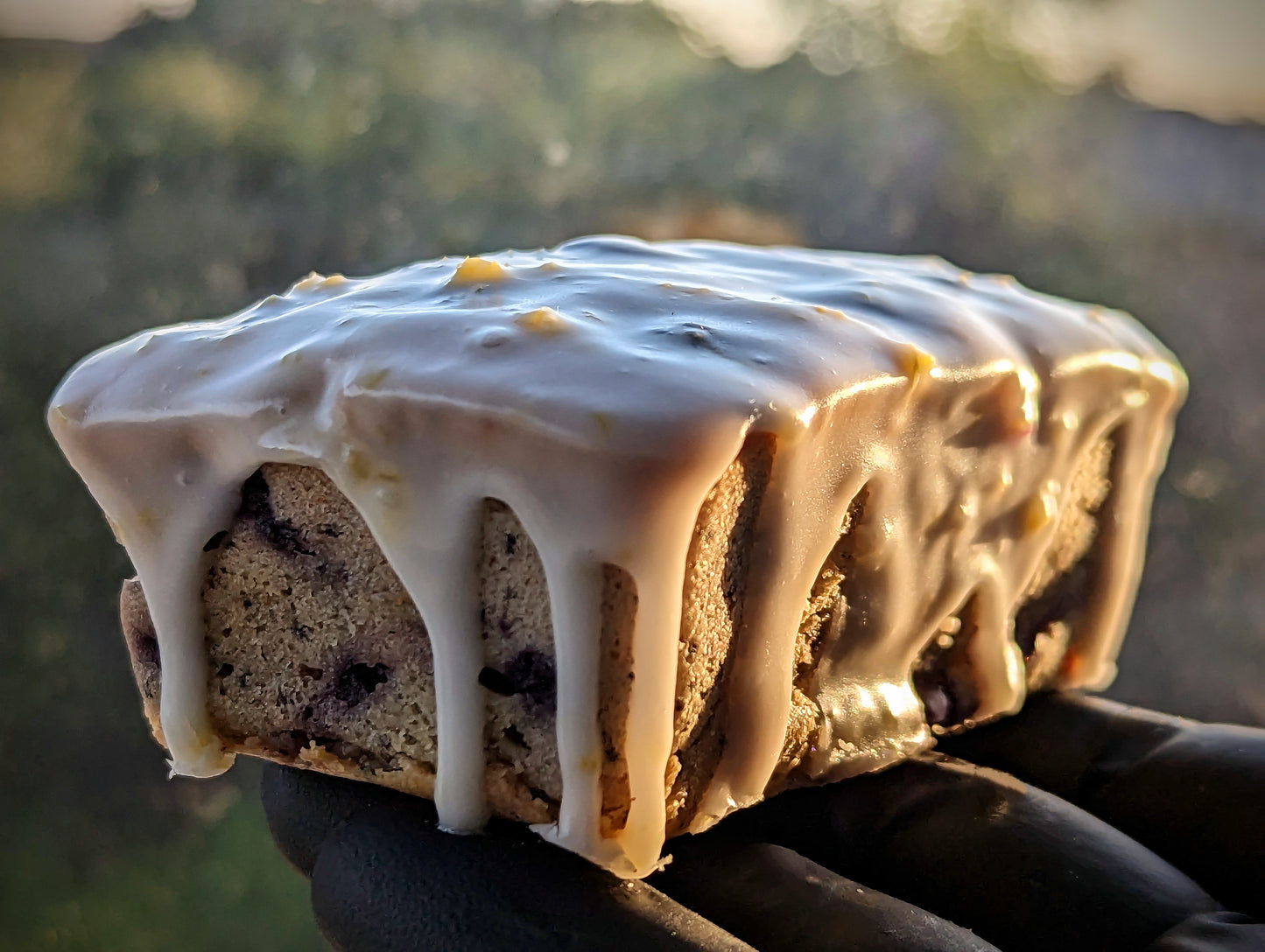 🍋 Lemon & Blueberry Poppy Seed Bread 🍋