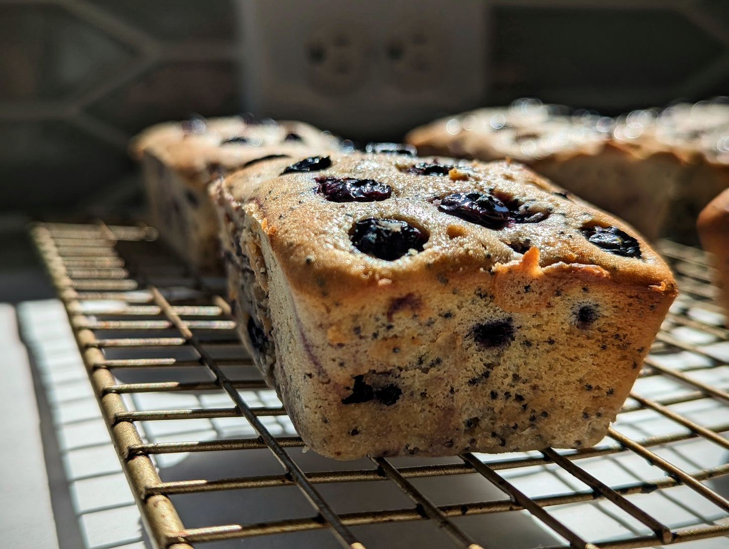 🍋 Lemon & Blueberry Poppy Seed Bread 🍋